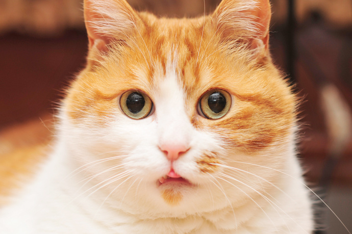 一镜到底 — 运动挑战·沉浸版 缩略图