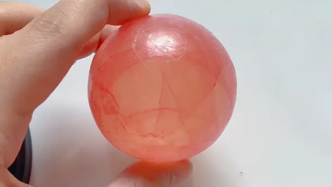 街角记录 — 宠物日记·轻纪录 缩略图